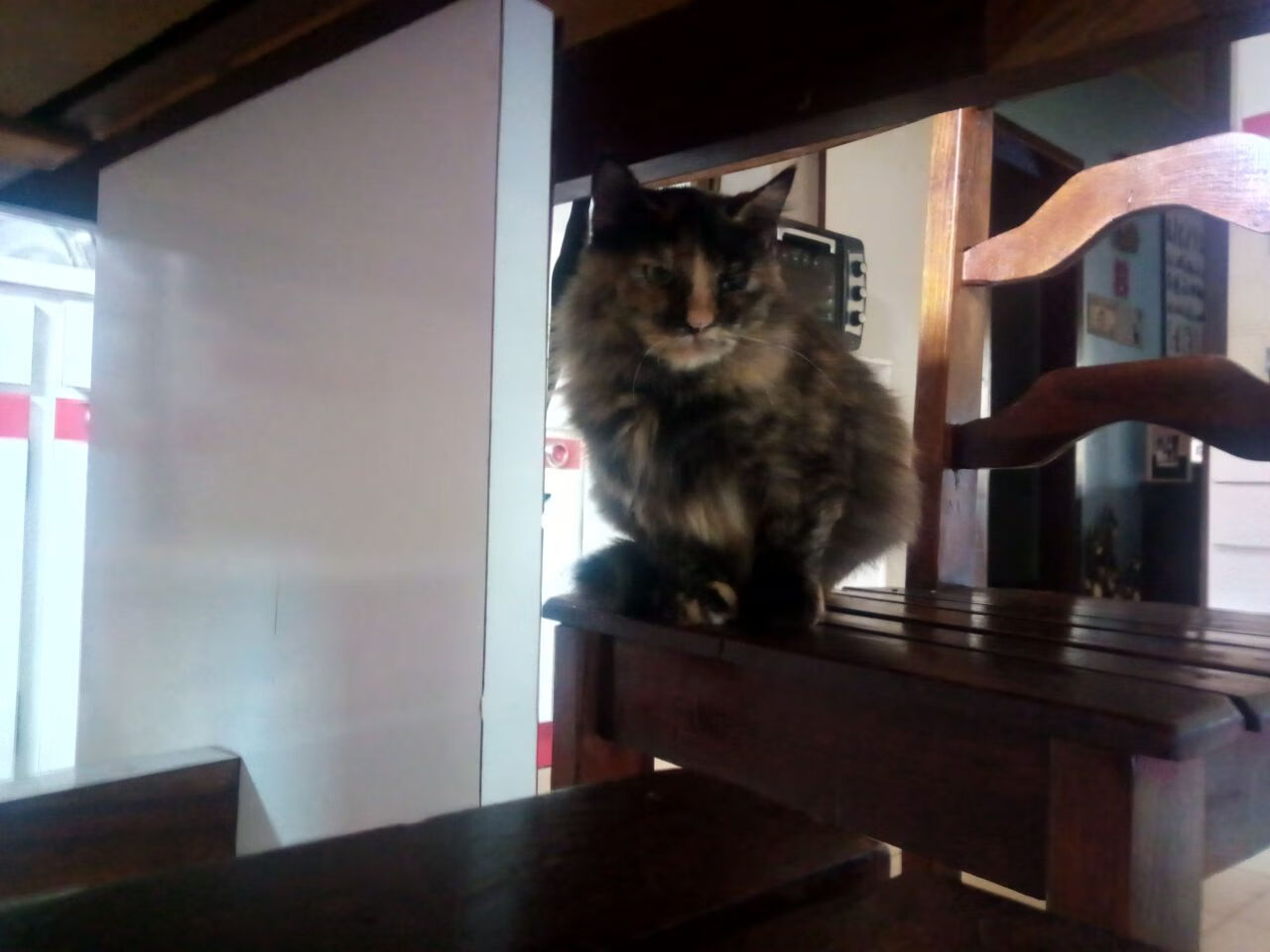 fb体育官网网页版-联赛调整：规则变革对比赛的具体影响，比赛规则的重要性