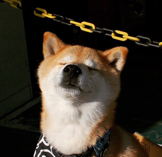 FB体育下载-迪巴拉在意甲连续5场助攻，状态火爆，迪巴拉意大利国家队