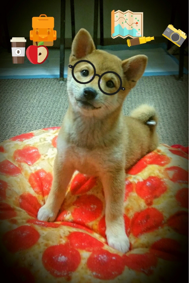 fb体育登录入口-中超球队战术体系多样，比赛精彩纷呈，中超联赛特点