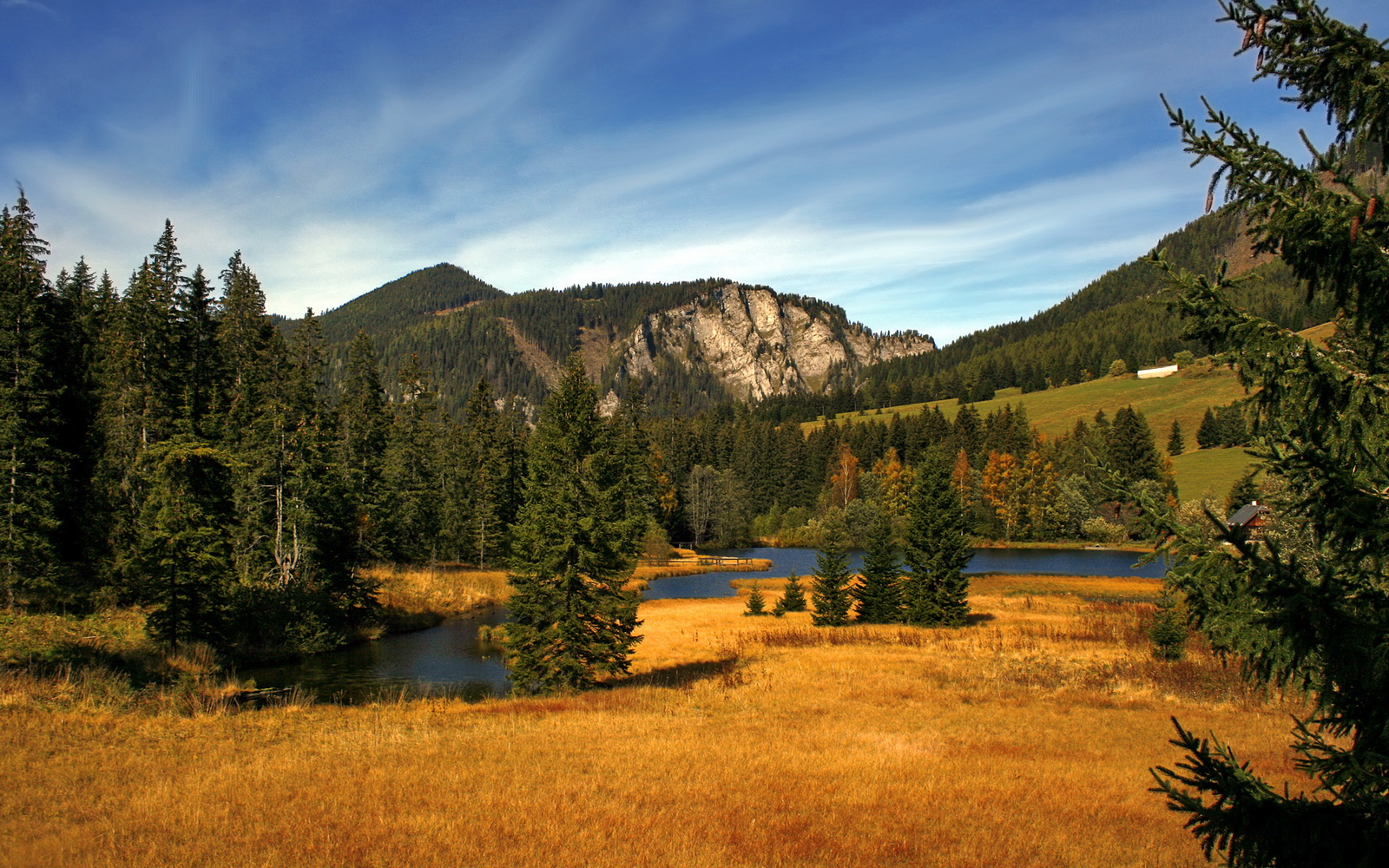 fb体育投注-山东泰山球员赛后采访，山东泰山 球员