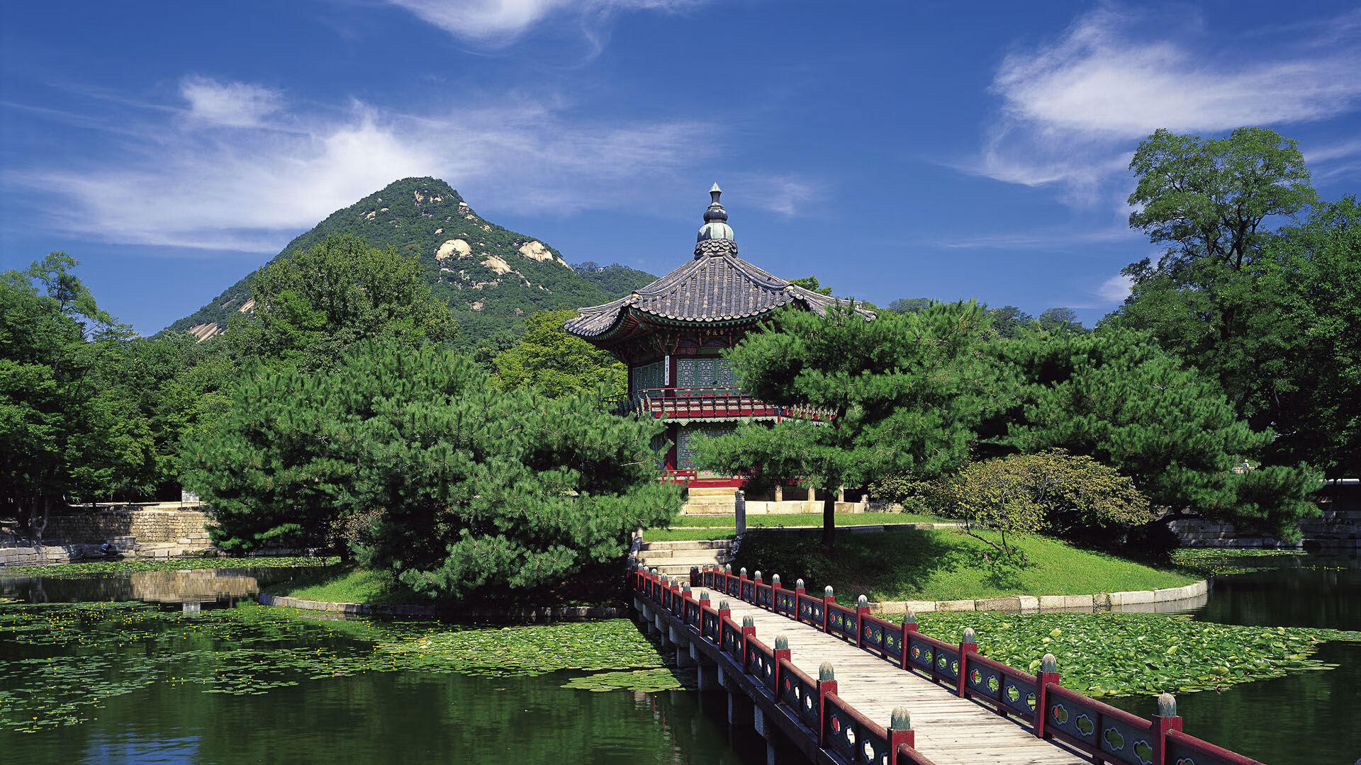 智利神锋梅开二度,帮助球队夺冠,智利神锋梅开二度,帮助球队夺冠是哪一集