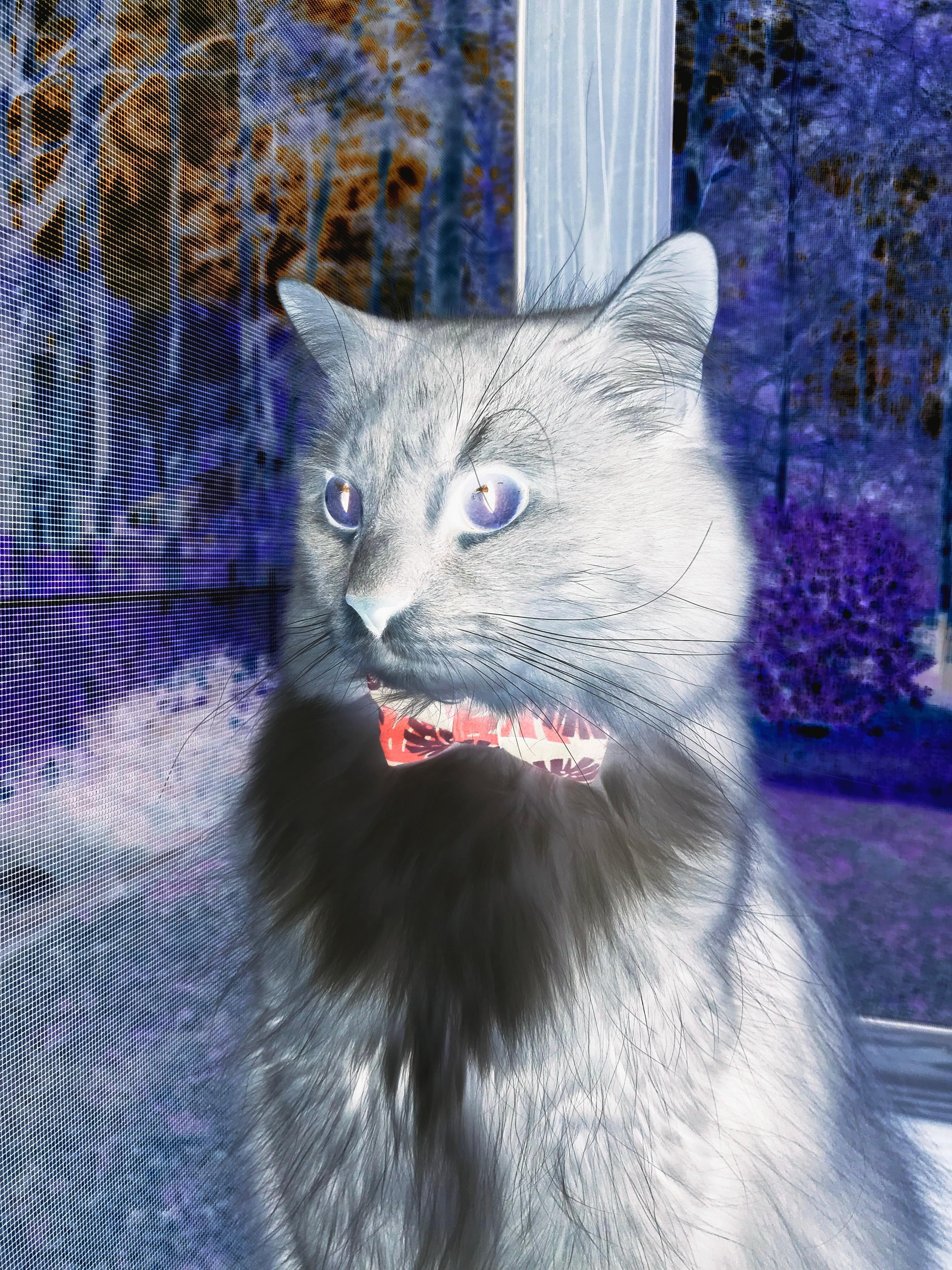 fb体育注册网址-热身赛告负，荷兰大将备战苏格兰期盼转运，热身赛-荷兰2-2苏格兰