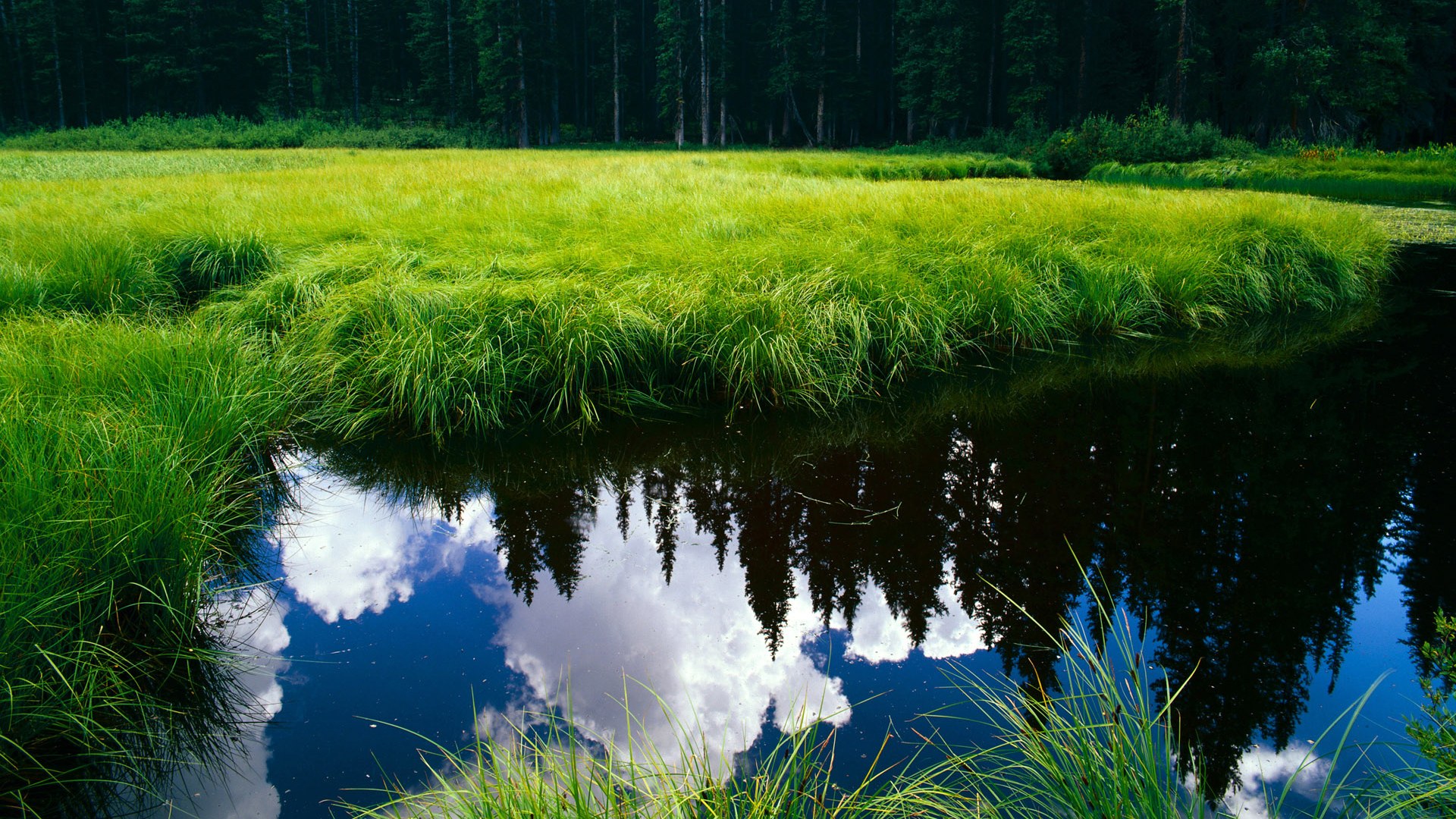 韩国球队成功晋级,欧冠之路更进一步,韩国足球联赛冠军规则