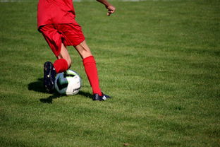 FB SPORTS-法甲营养恢复系统提升球员赛季稳定性调查