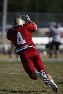 FB真人电子游戏-五大联赛体能瓶颈期球队是否更偏好长传进攻，体育瓶颈期是啥意思