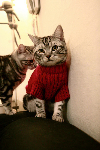 fb体育中国官网-五大联赛是否形成以边中结合主导比赛思路，五大联赛说法