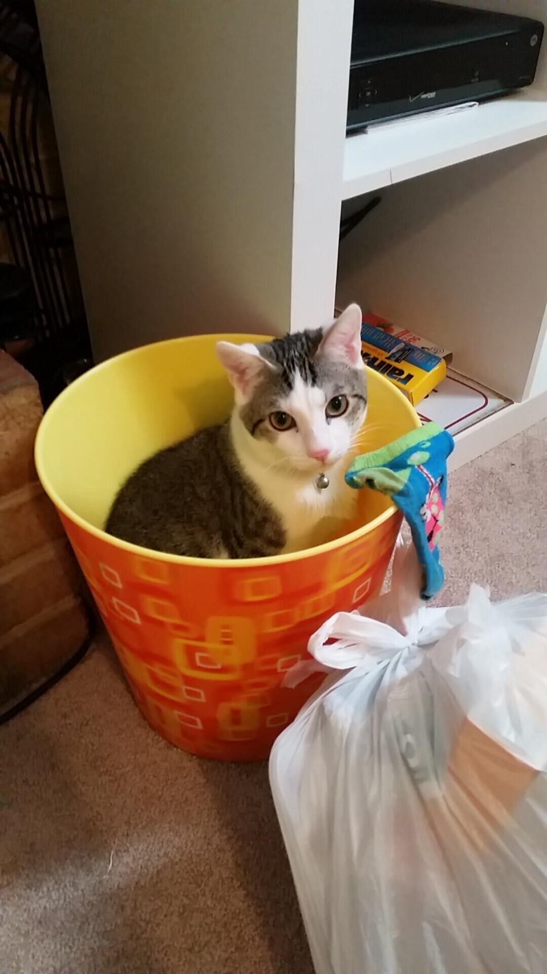 fb体育投注-国际乒联调整赛制，促进各国选手竞争，国际乒联调整赛制,促进各国选手竞争