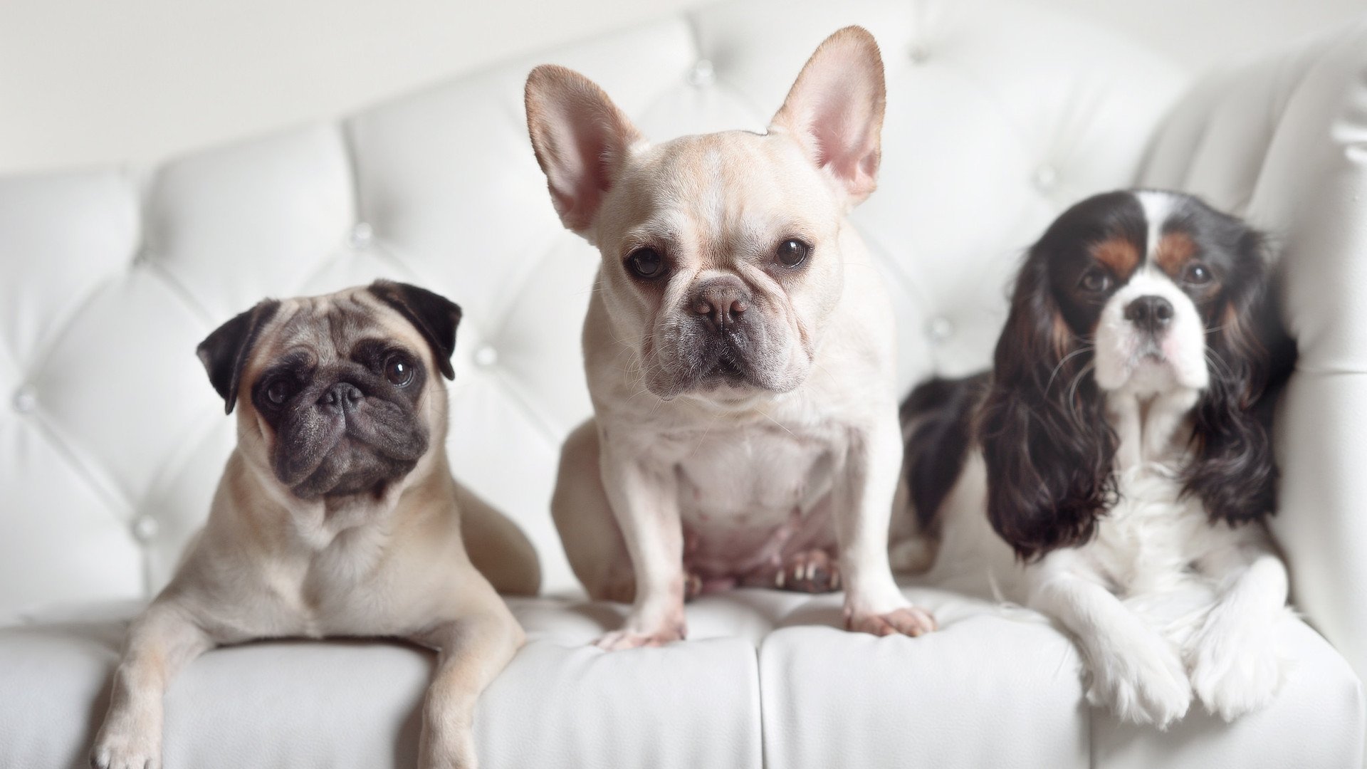 fb体育-黄蜂管理层强调尊重年轻球员成长节奏，黄蜂队有哪些球员